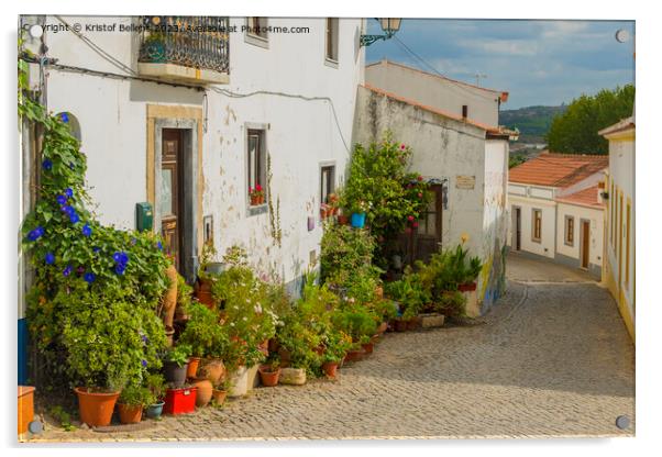 Colorful historical cobblestoned street in Aljezur, Portugal Acrylic by Kristof Bellens