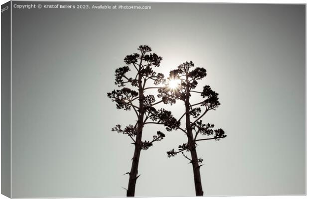 Two Agave salmiana vertical floral stem in silhouette with gray toning. Canvas Print by Kristof Bellens