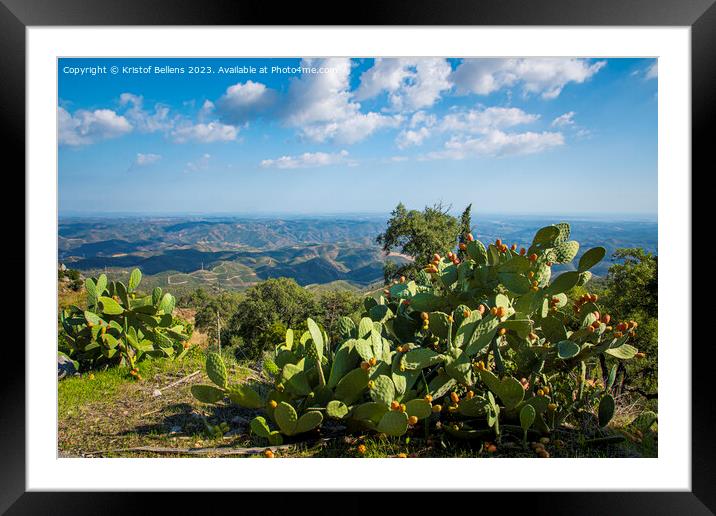 View from Picota near Monchique in Algarve, Portugal, into the valley of Serra de Monchique. Framed Mounted Print by Kristof Bellens