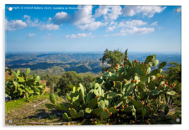 View from Picota near Monchique in Algarve, Portugal, into the valley of Serra de Monchique. Acrylic by Kristof Bellens