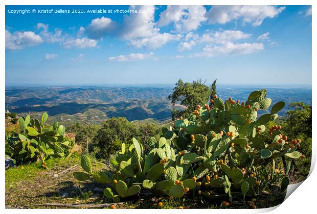 View from Picota near Monchique in Algarve, Portugal, into the valley of Serra de Monchique. Print by Kristof Bellens