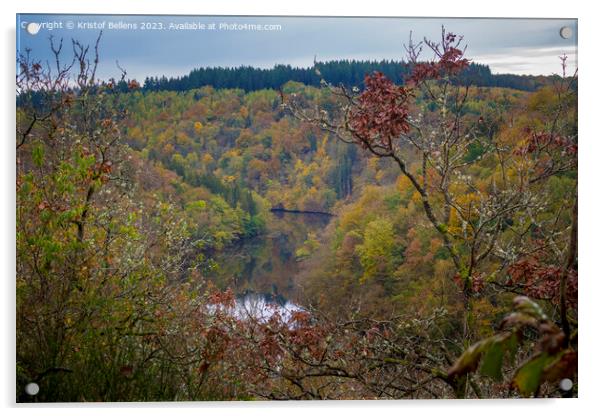 High angle view during autumn on river Ourthe in the Ardennes of Wallonia, Belgium Acrylic by Kristof Bellens