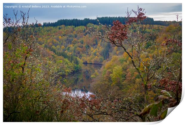 High angle view during autumn on river Ourthe in the Ardennes of Wallonia, Belgium Print by Kristof Bellens