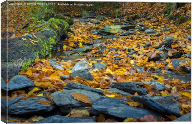 Autumn forest scene with colored foliage and flowing water between rocks Canvas Print by Kristof Bellens