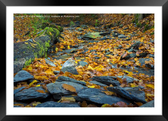 Autumn forest scene with colored foliage and flowing water between rocks Framed Mounted Print by Kristof Bellens