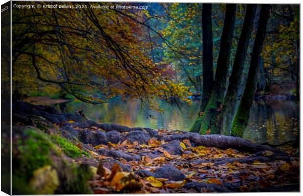 Autumn Ourthe river scene in the woodlands of the Ardennes in Wallonia, Belgium. Canvas Print by Kristof Bellens