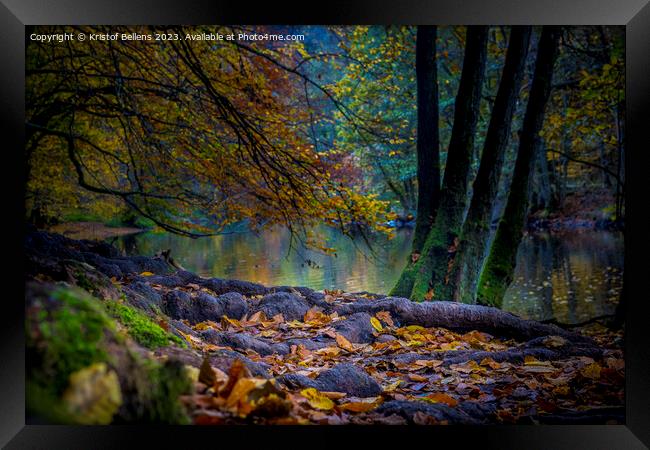 Autumn Ourthe river scene in the woodlands of the Ardennes in Wallonia, Belgium. Framed Print by Kristof Bellens