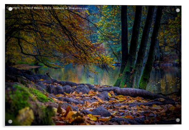 Autumn Ourthe river scene in the woodlands of the Ardennes in Wallonia, Belgium. Acrylic by Kristof Bellens
