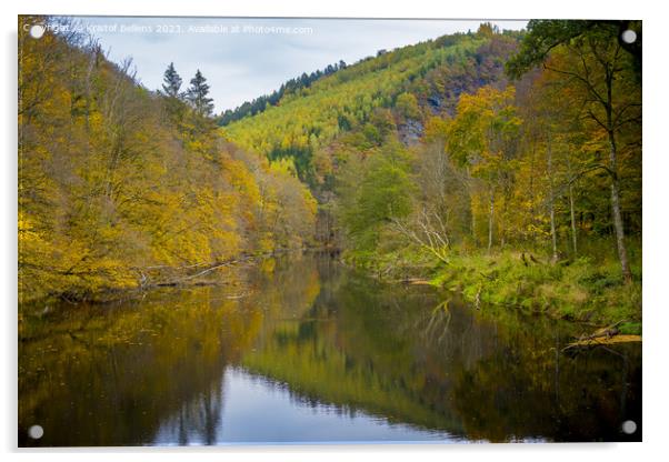 View on the river Ourthe in the Belgian national park Two Ourthes in the Ardennes of Wallonia, Belgium during autumn Acrylic by Kristof Bellens