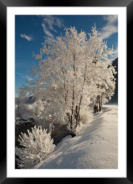 Cold winter morning Framed Mounted Print by Thomas Schaeffer
