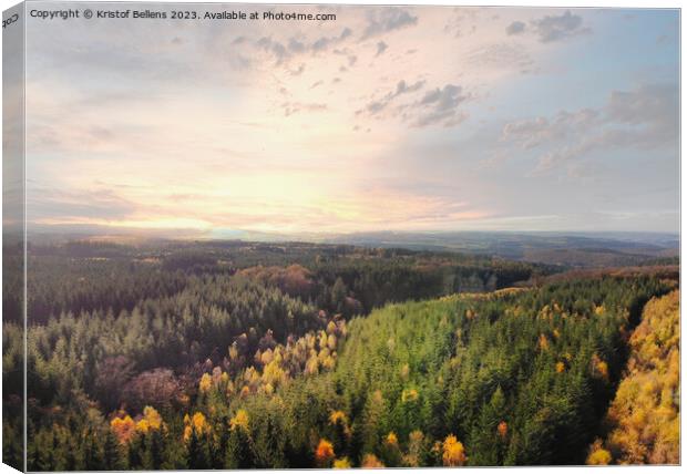 Dramatic aerial sunset over the pine tree forest in autumn in the Ardennes, Belgium. Canvas Print by Kristof Bellens
