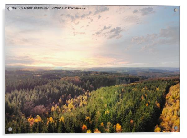Dramatic aerial sunset over the pine tree forest in autumn in the Ardennes, Belgium. Acrylic by Kristof Bellens