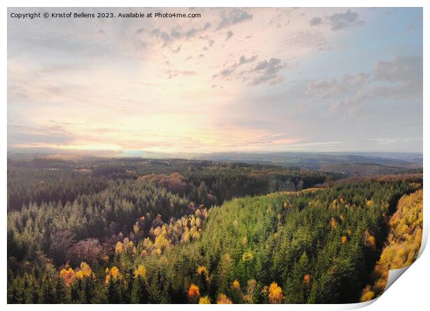 Dramatic aerial sunset over the pine tree forest in autumn in the Ardennes, Belgium. Print by Kristof Bellens