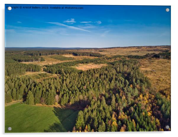 Aerial drone point of view of High Fens nature reserve in Ardennes of Wallonia, Belgium Acrylic by Kristof Bellens