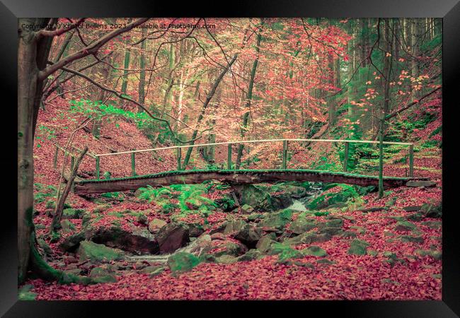 Foot bridge over a creek in the forest during a hike in autumn. Framed Print by Kristof Bellens