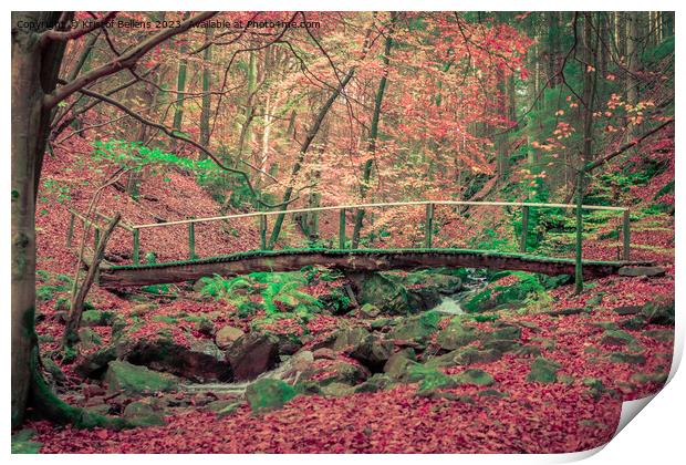 Foot bridge over a creek in the forest during a hike in autumn. Print by Kristof Bellens