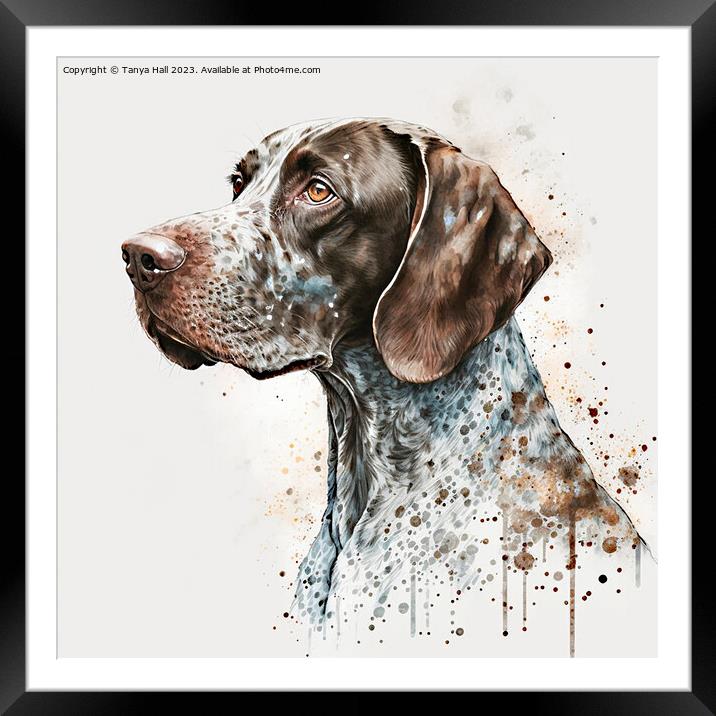 Watercolor German Short Haired Pointer Framed Mounted Print by Tanya Hall
