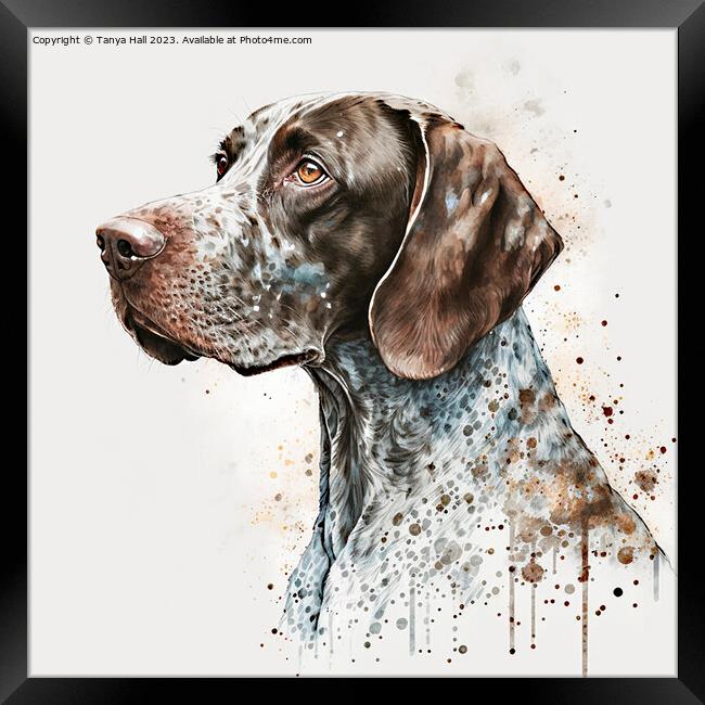 Watercolor German Short Haired Pointer Framed Print by Tanya Hall