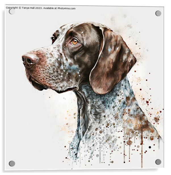 Watercolor German Short Haired Pointer Acrylic by Tanya Hall