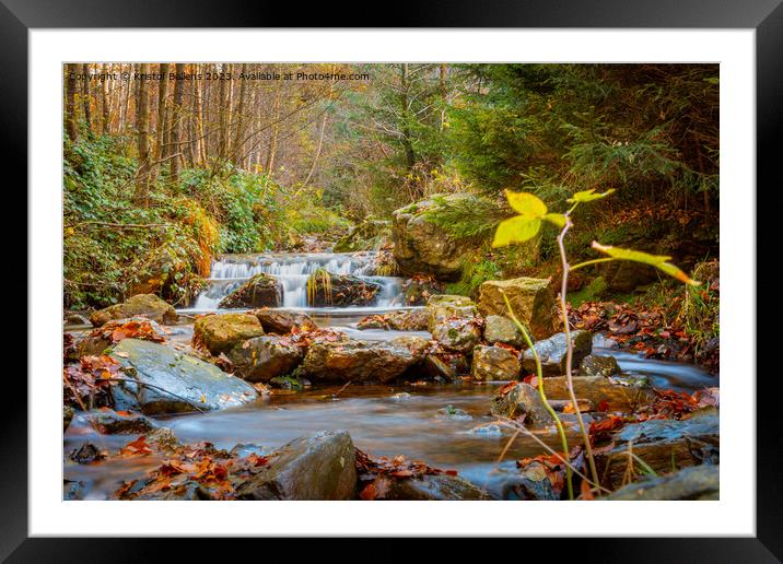 Autumn forest and river scene with waterfall. Long exposure. Seasonal vibes and warm atmosphere. Framed Mounted Print by Kristof Bellens