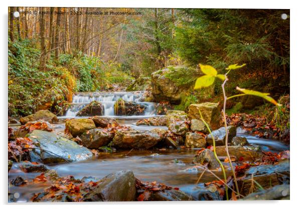 Autumn forest and river scene with waterfall. Long exposure. Seasonal vibes and warm atmosphere. Acrylic by Kristof Bellens