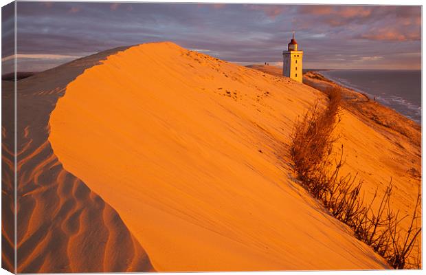 Dune sunset Canvas Print by Thomas Schaeffer