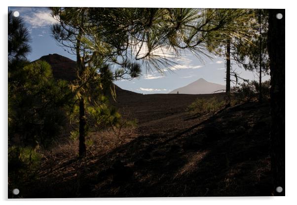 Mount Teide Tenerife Acrylic by Phil Crean