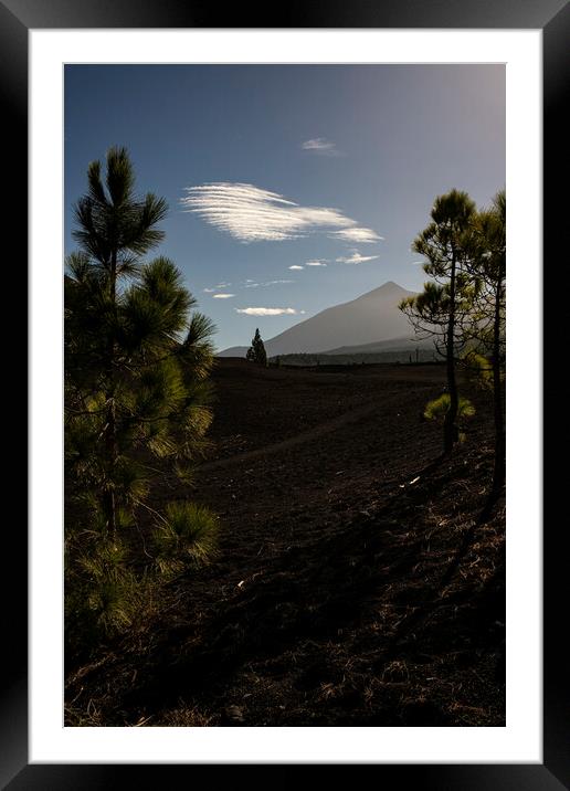 Mount Teide through pines Tenerife Framed Mounted Print by Phil Crean