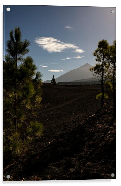 Mount Teide through pines Tenerife Acrylic by Phil Crean