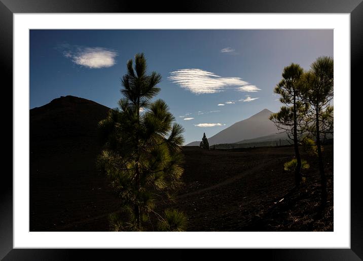 Mount Teide through pines Tenerife Framed Mounted Print by Phil Crean