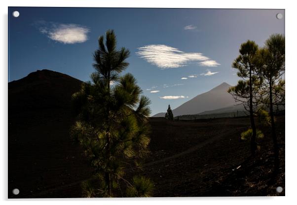 Mount Teide through pines Tenerife Acrylic by Phil Crean