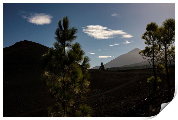 Mount Teide through pines Tenerife Print by Phil Crean