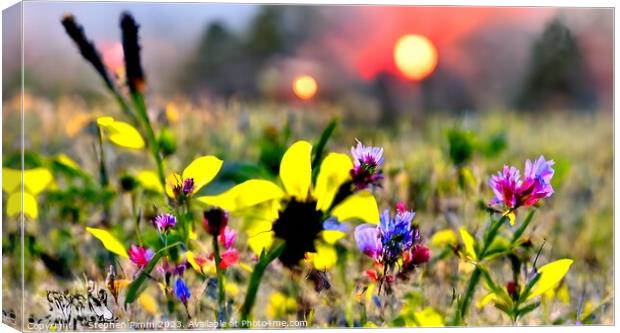 AI Flower Meadow Canvas Print by Stephen Pimm