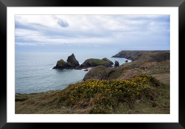 Golden Beauty of Kynance Cove Framed Mounted Print by kathy white