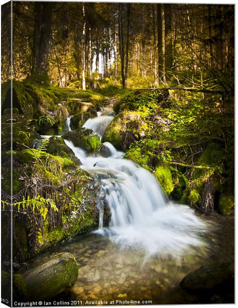 Elan Valley waterfall Canvas Print by Ian Collins