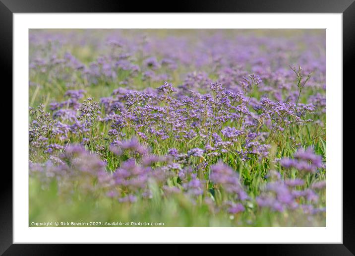 Lavender Dreams Framed Mounted Print by Rick Bowden