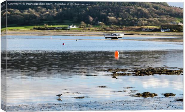 Feeding in the Shallows Red Wharf Bay Anglesey Canvas Print by Pearl Bucknall