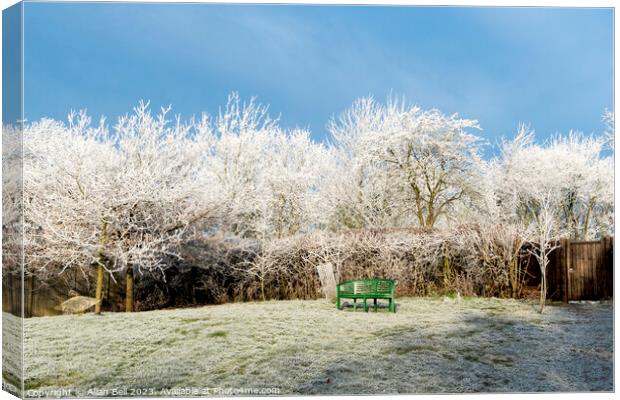 A splash of green in white frost Canvas Print by Allan Bell