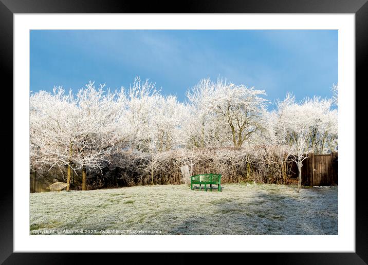 A splash of green in white frost Framed Mounted Print by Allan Bell