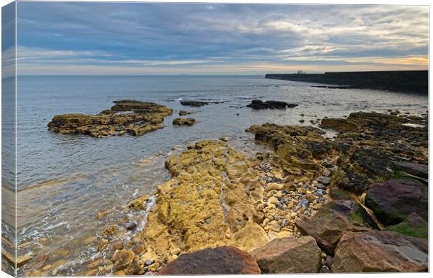 Seascape at Hartlepool Canvas Print by Martyn Arnold