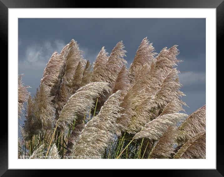 What Fronds are for. Framed Mounted Print by Mark Ward