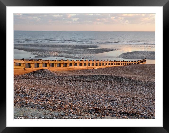 Beauty of the Groyne. Framed Mounted Print by Mark Ward