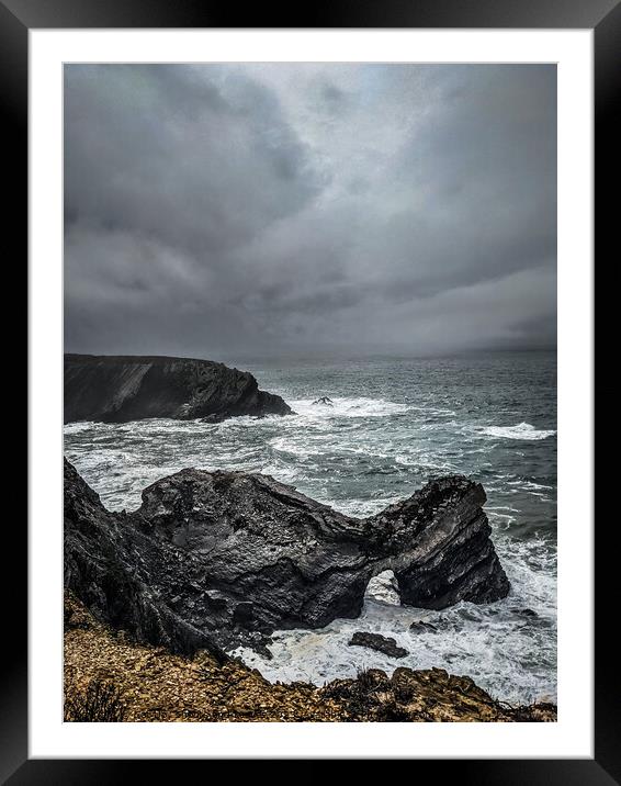 Power of Nature Framed Mounted Print by Set Up, Shoots and Leaves
