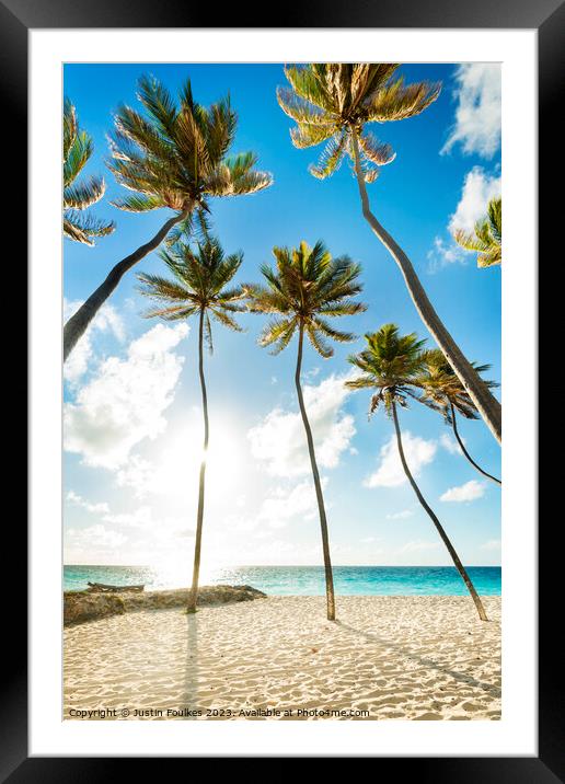 Palm trees on the beach at Bottom Bay, Barbados, Caribbean Framed Mounted Print by Justin Foulkes
