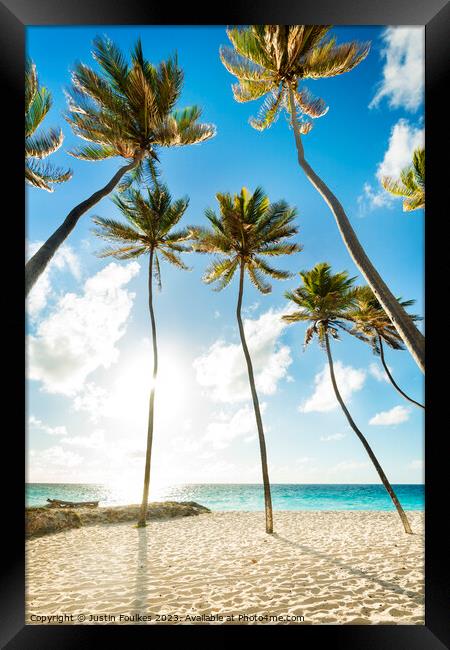 Palm trees on the beach at Bottom Bay, Barbados, Caribbean Framed Print by Justin Foulkes