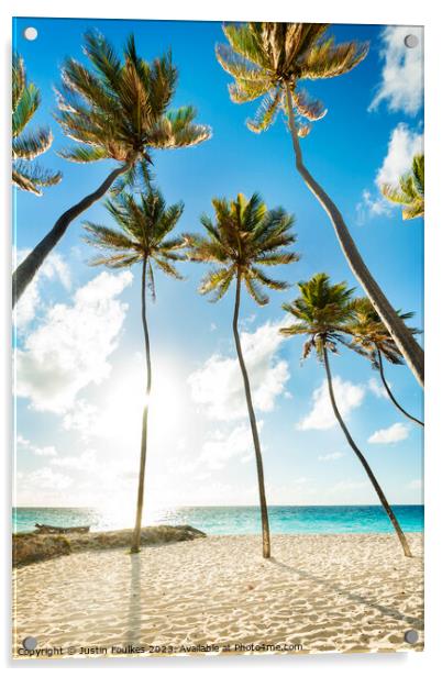 Palm trees on the beach at Bottom Bay, Barbados, Caribbean Acrylic by Justin Foulkes