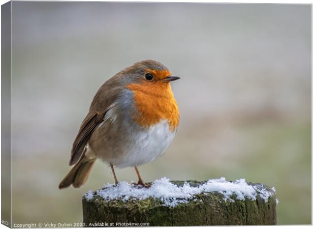 A robin perched on top of a snowy wooden post Canvas Print by Vicky Outen