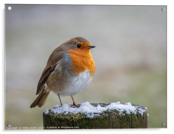 A robin perched on top of a snowy wooden post Acrylic by Vicky Outen