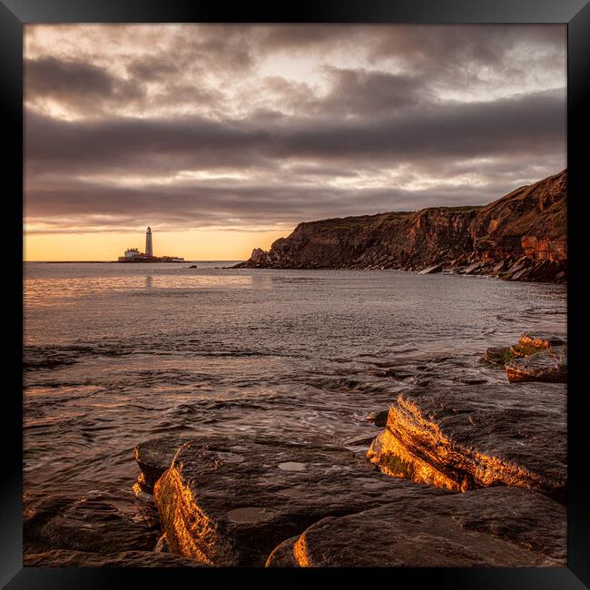 St. Mary's Lighthouse from the Beach at Old Hartley Framed Print by Will Ireland Photography