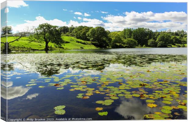 Loughrigg Tarn Canvas Print by Philip Brookes